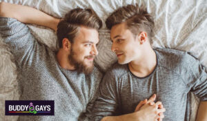 Connect with Like-Minded Individuals on Buddy Gays